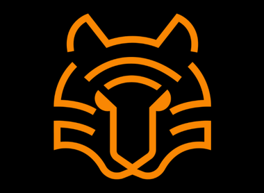 Why Tech Tiger?
