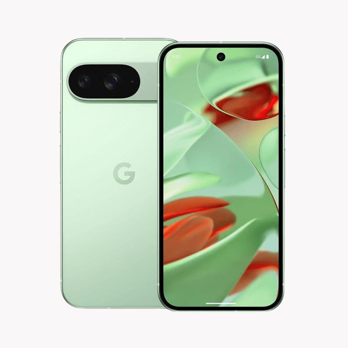 Google Pixel 9 - Tech Tiger