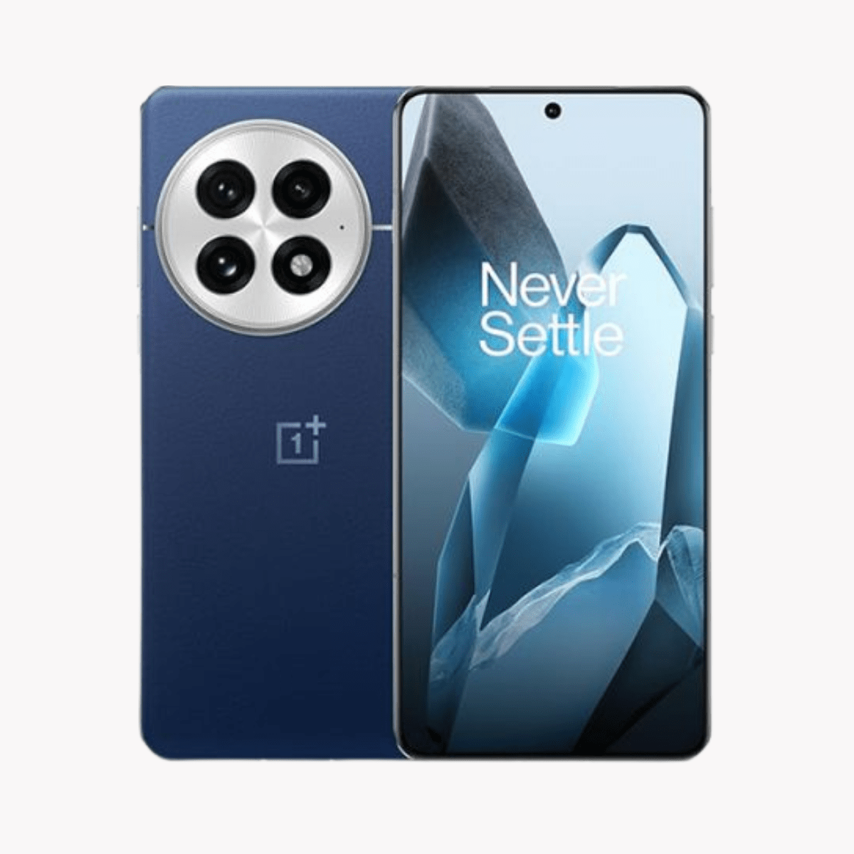 OnePlus 13 - Tech Tiger