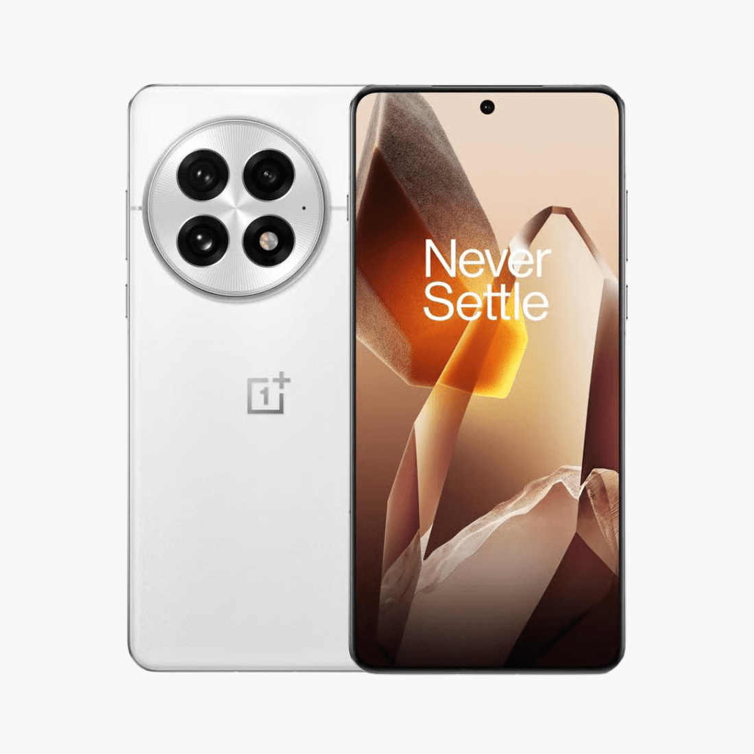 OnePlus 13 - Tech Tiger