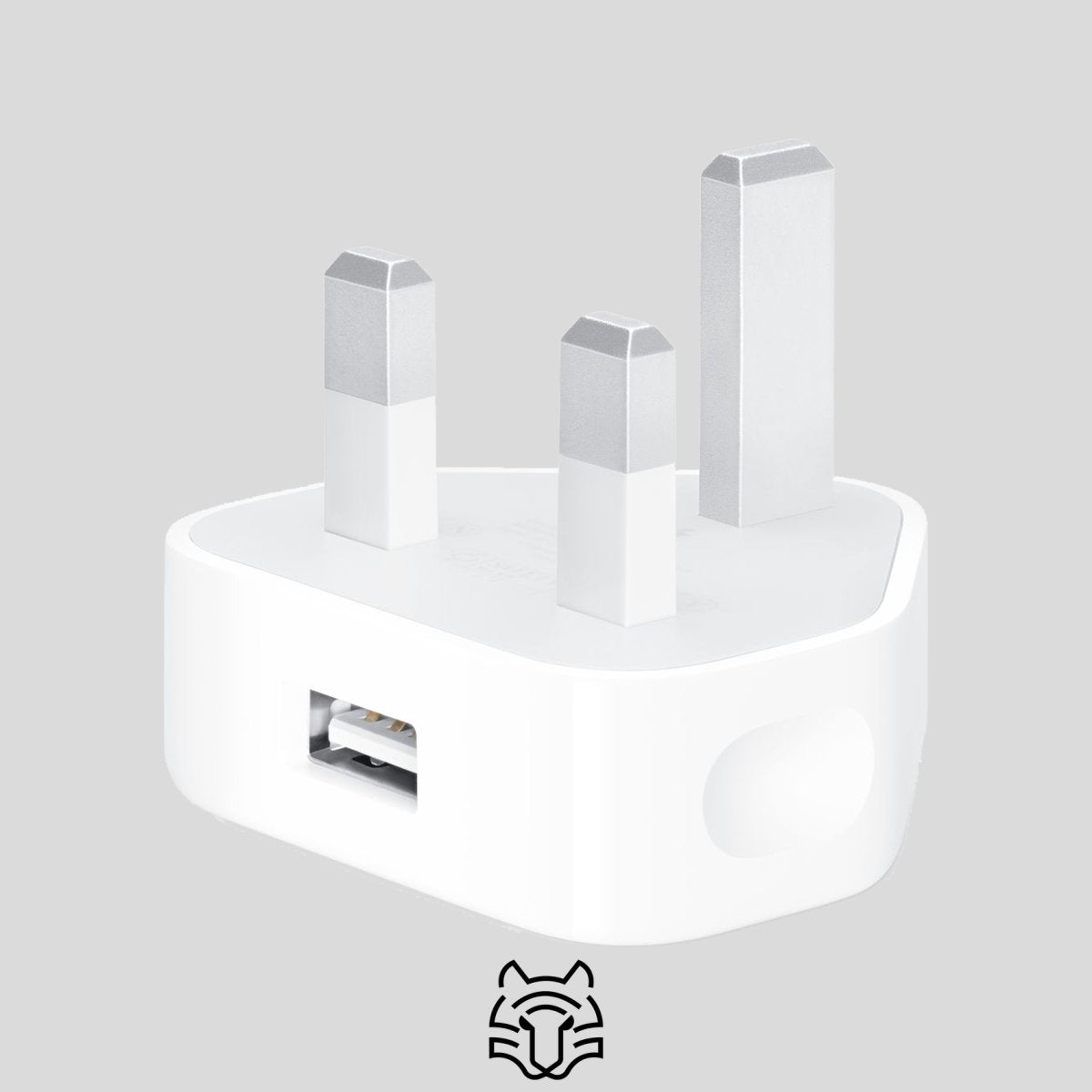 Apple iPhone Plug