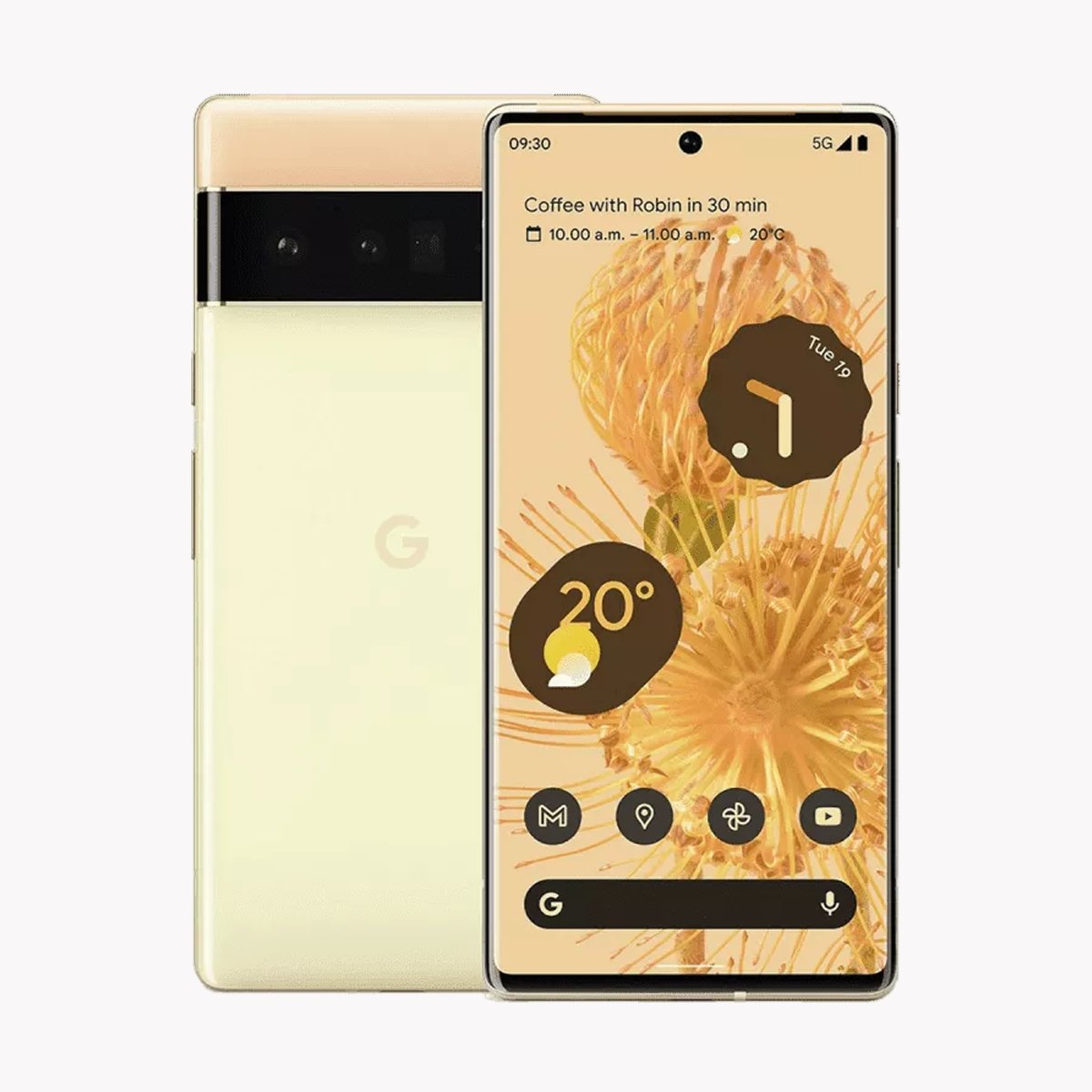 Google Pixel 6 Pro - Tech Tiger