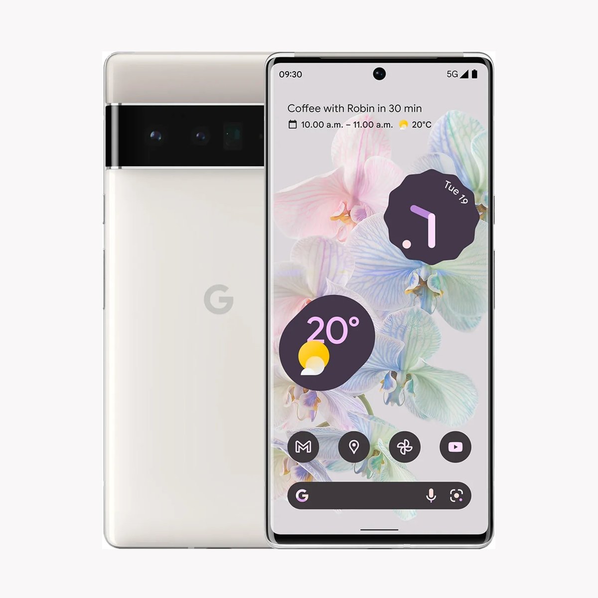 Google Pixel 6 Pro - Tech Tiger